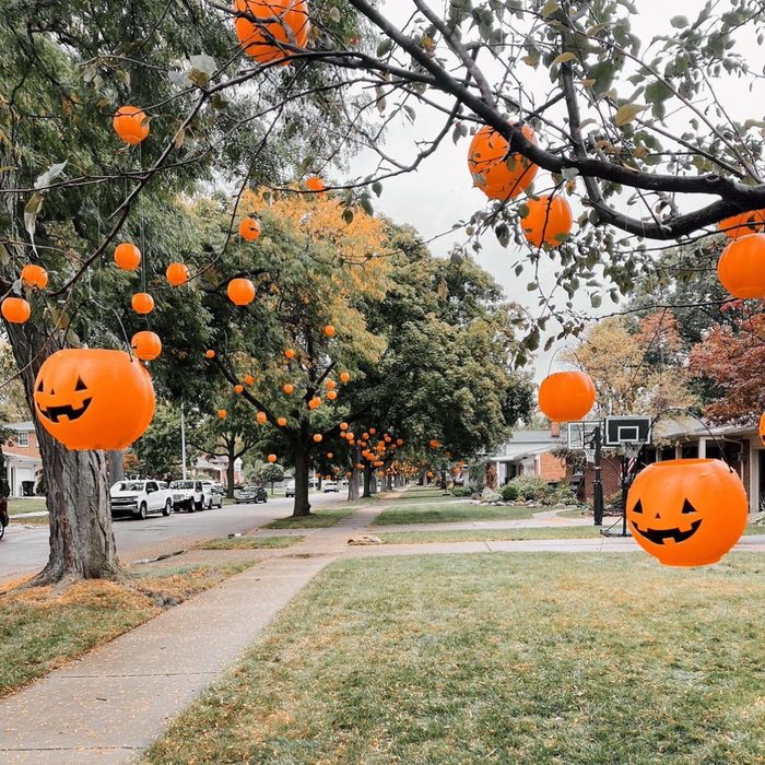 Pumpkin Pail Trees Courtesy @akrenovate Via Instagram