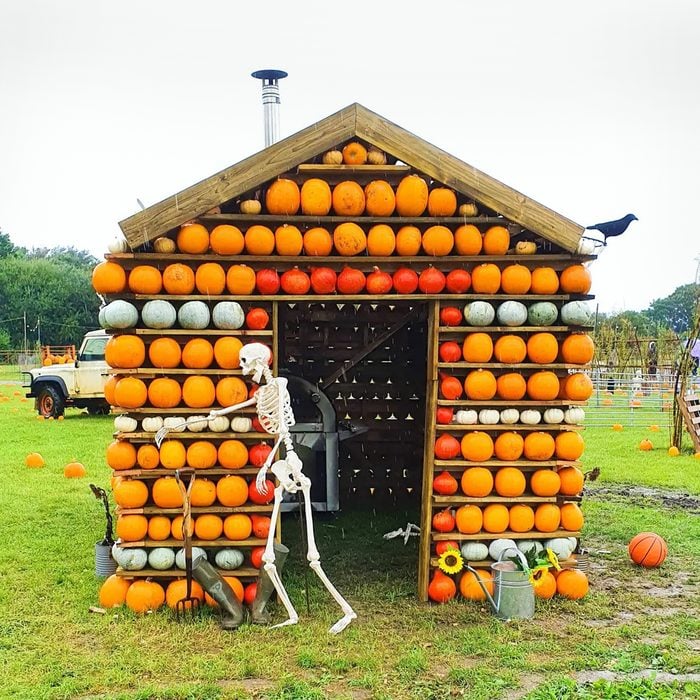 Pumpkin Shed Courtesy @sweetcakes And Milkshakes Via Instagram