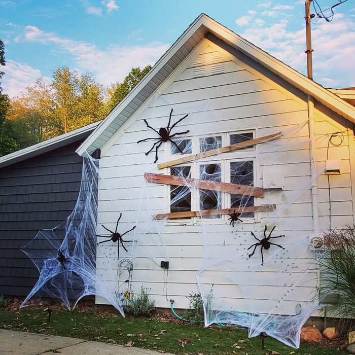 Spider Attack Courtesy @houseonmillandhill Via Instagram