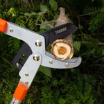 The 7 Best Loppers for Easy Tree Trimming