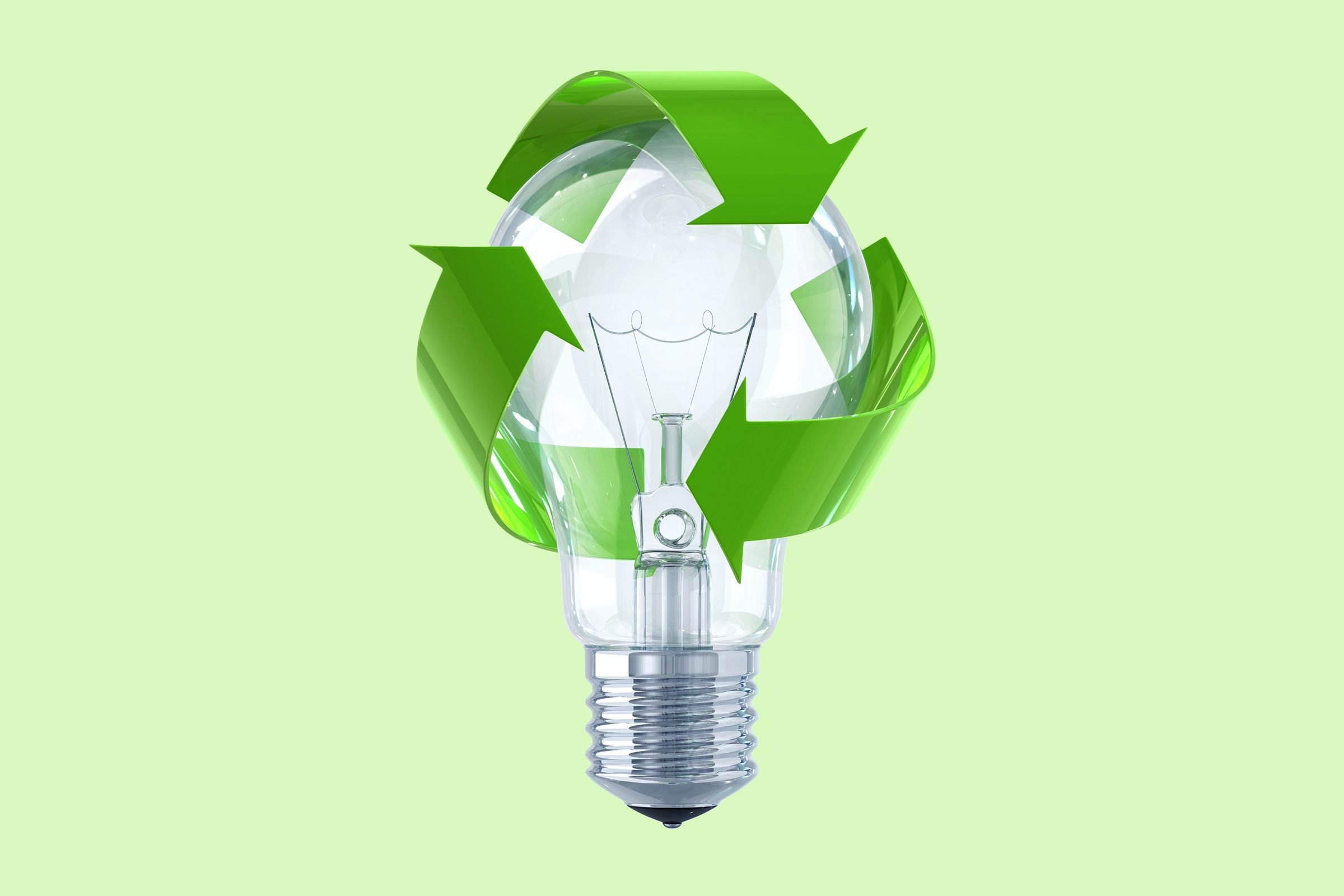 Light Bulb Recycling Guide Family