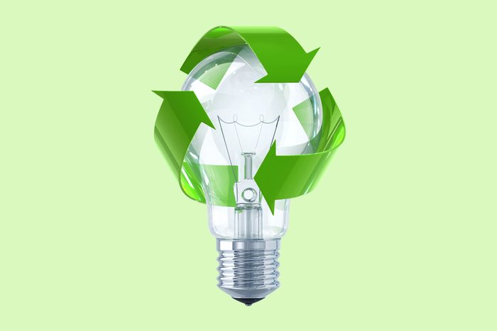  Recycle Light Bulb
