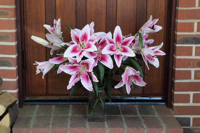 Bunch of stargazer lilies left in vase on doorstep as gift.