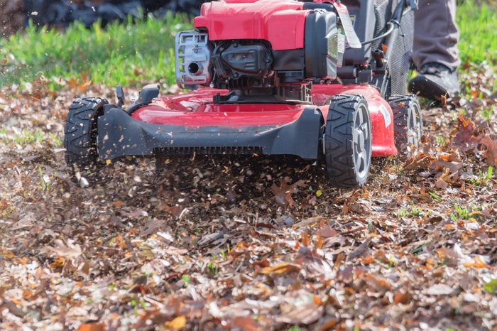 anonymous person pushing a lawnmower to mulch the fallen leaves in their yard