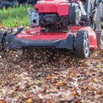 Here’s Why Mowing Leaves Is Better Than Raking Them