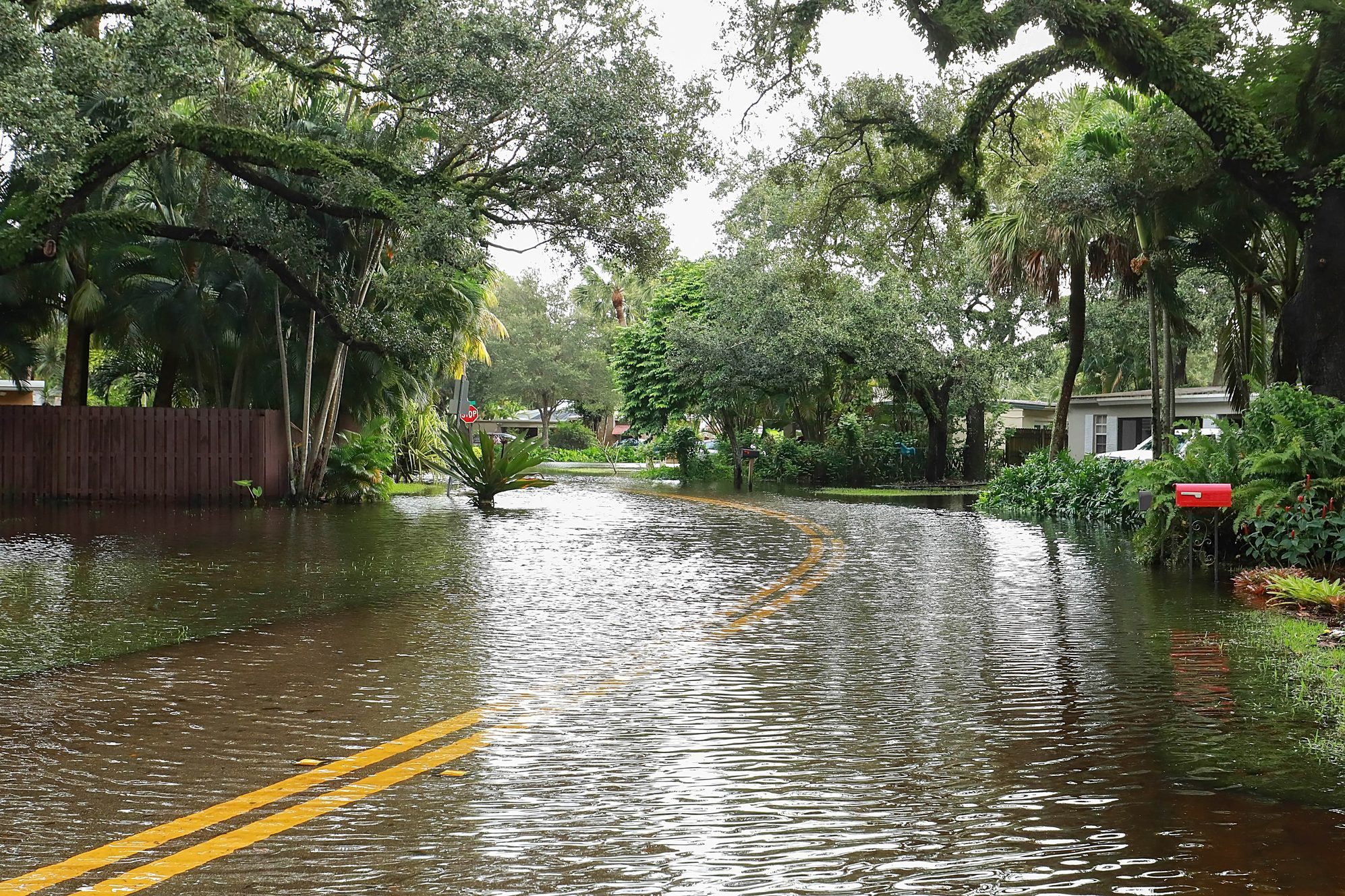 Flooded neighborhood streets in Fort Lauderdale, Florida, USA.