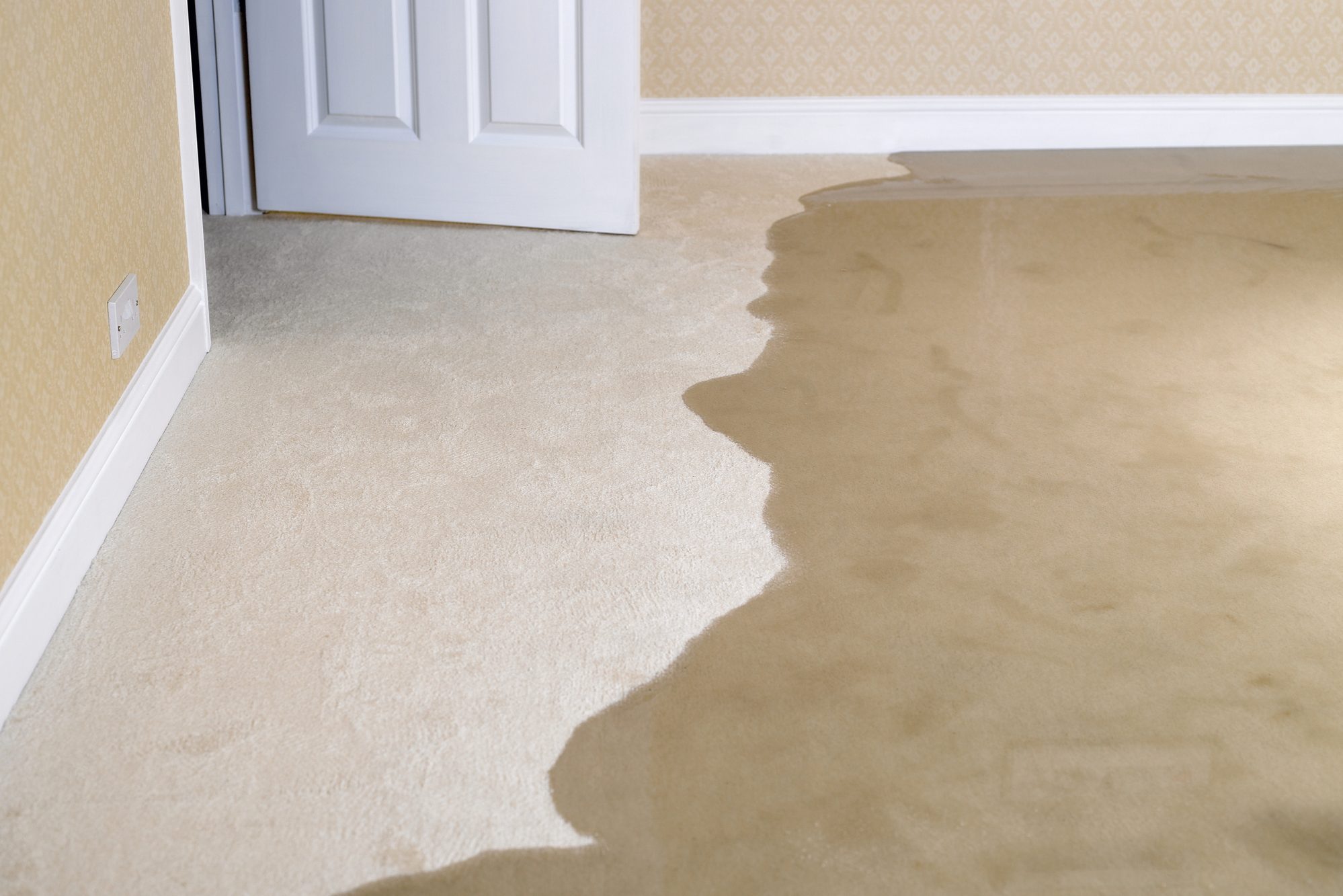 How to Tackle Mold After Water Damage