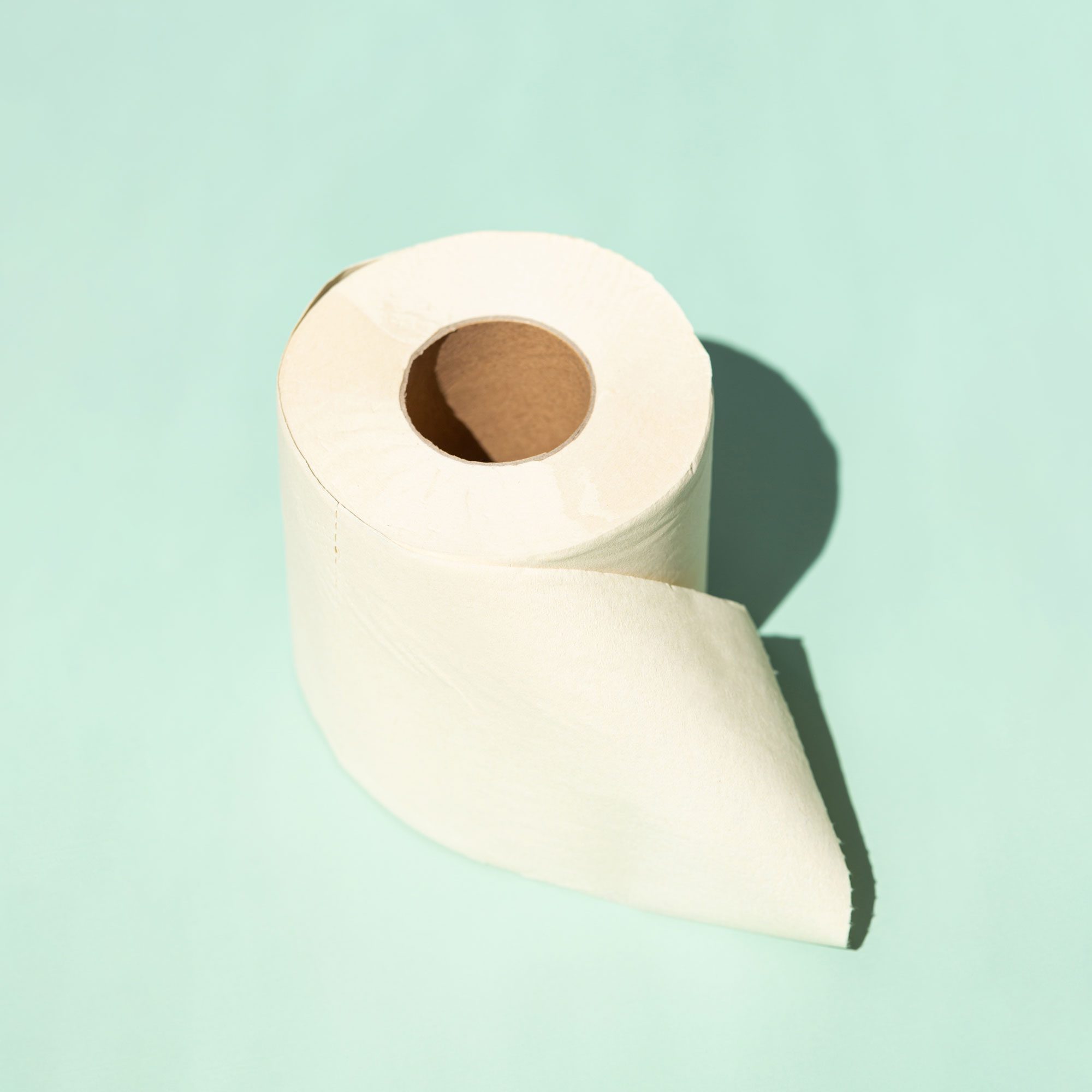 roll of Bamboo Toilet Paper on light green background