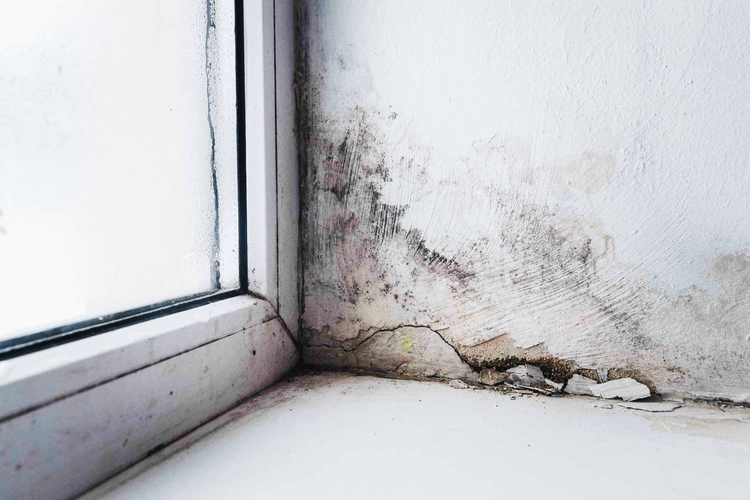 Can Mold in the Basement Affect Upstairs?