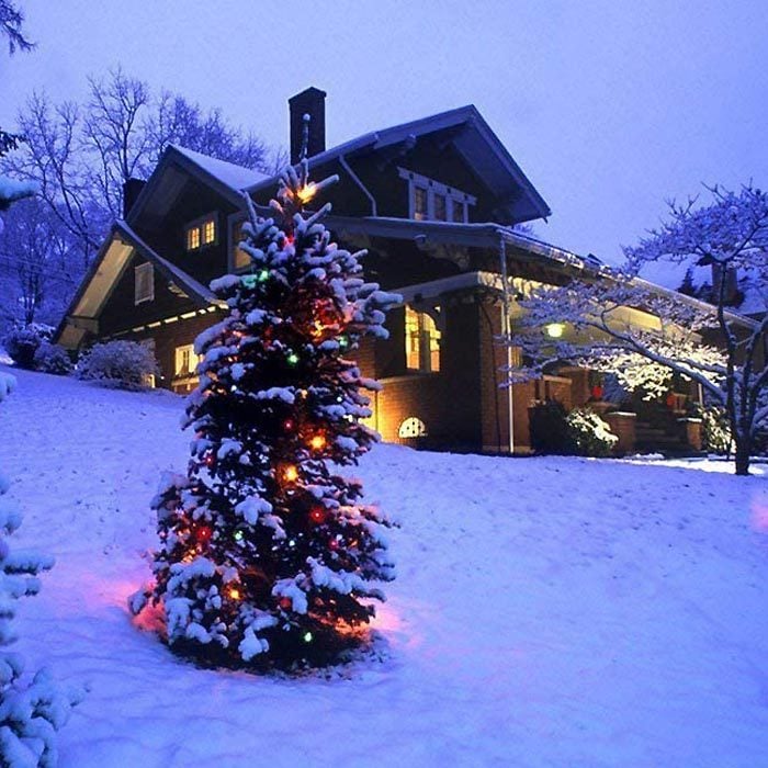 Pastel christmas Lights on a pine tree outside