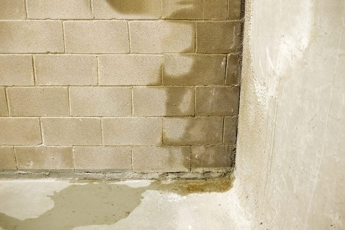 damp concrete basement walls with some water on the floor