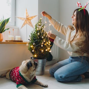 Young woman and a dog enjoying Christmas time at home decorating the sustainable tree by lights