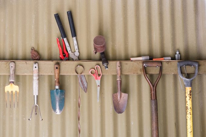 Garden tools against shed wall