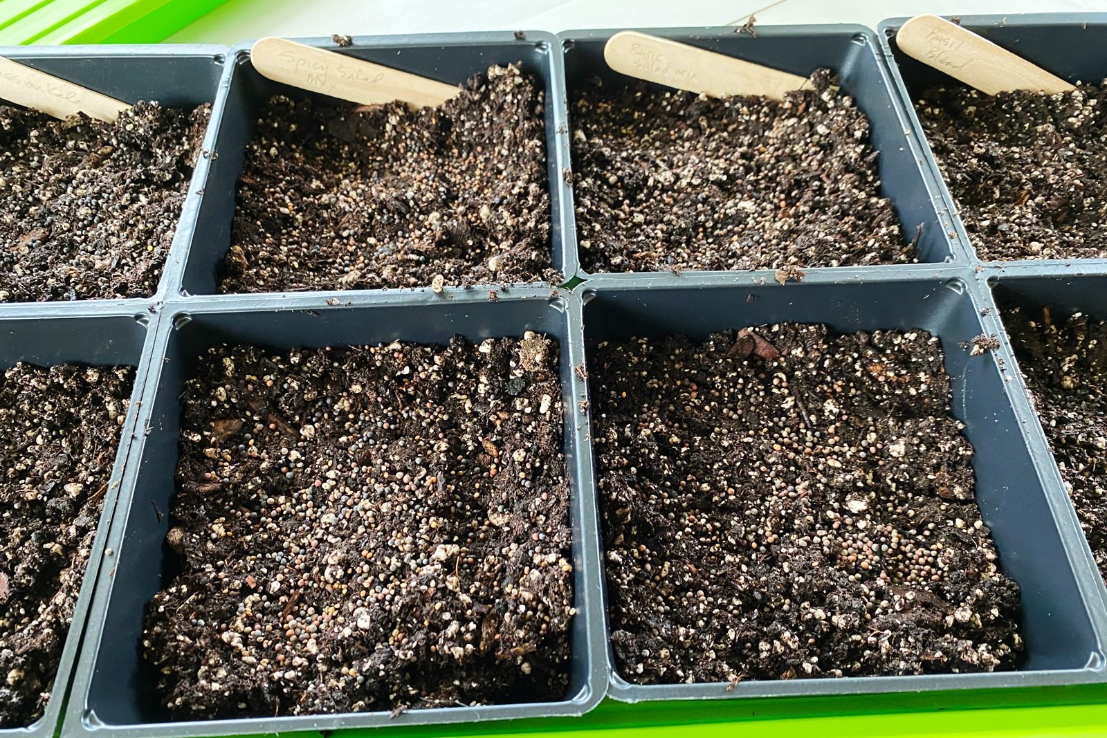 sowing micro green seeds in black planter tray filled with soil