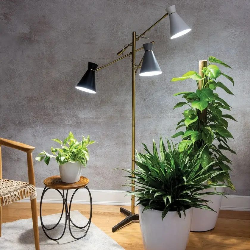 3 Arm Grow Lamp Ecomm Via Gardeners.com