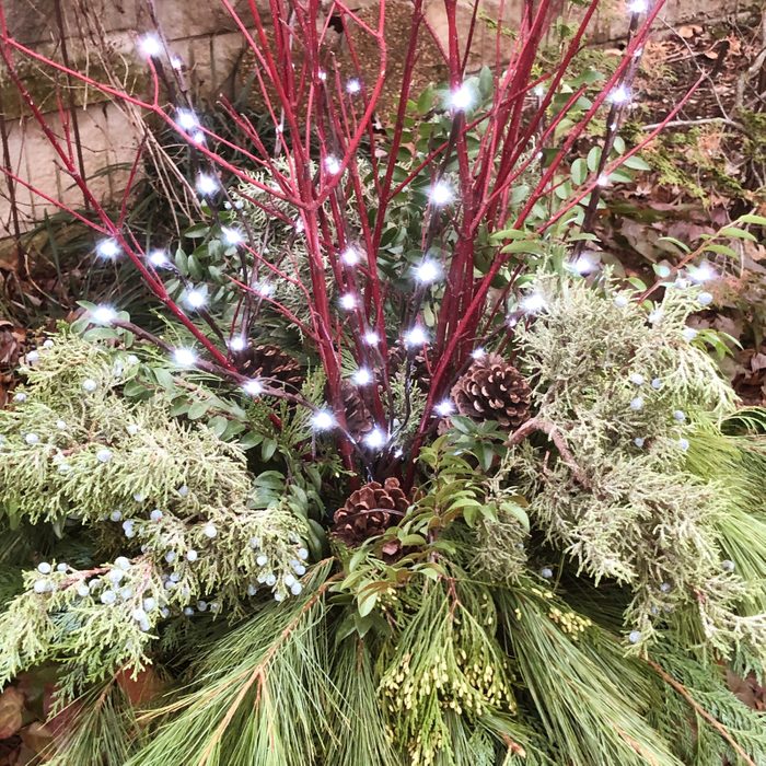 a christmas porch pot with winter greenery and lights wrapped around the colored stems