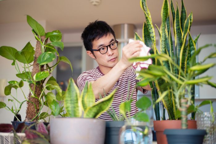 Man caring for his indoor plants