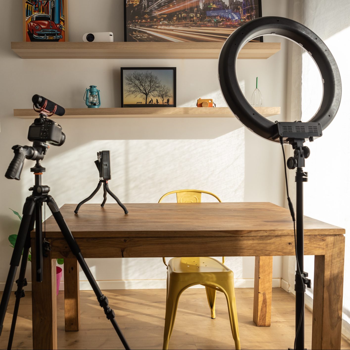 Set at home equipped for influencer such as ring of light, reflex camera and a led panel