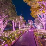 Here’s Why Purple LED Holiday Lights Make Some People Sick
