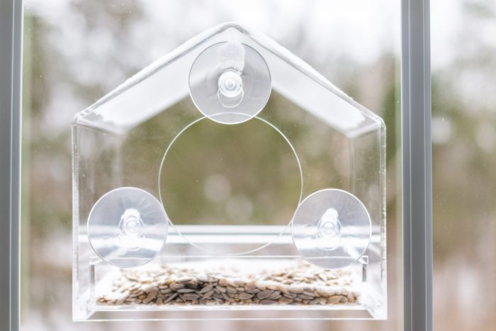 One empty small glass plastic bird feeder with suction cups against window