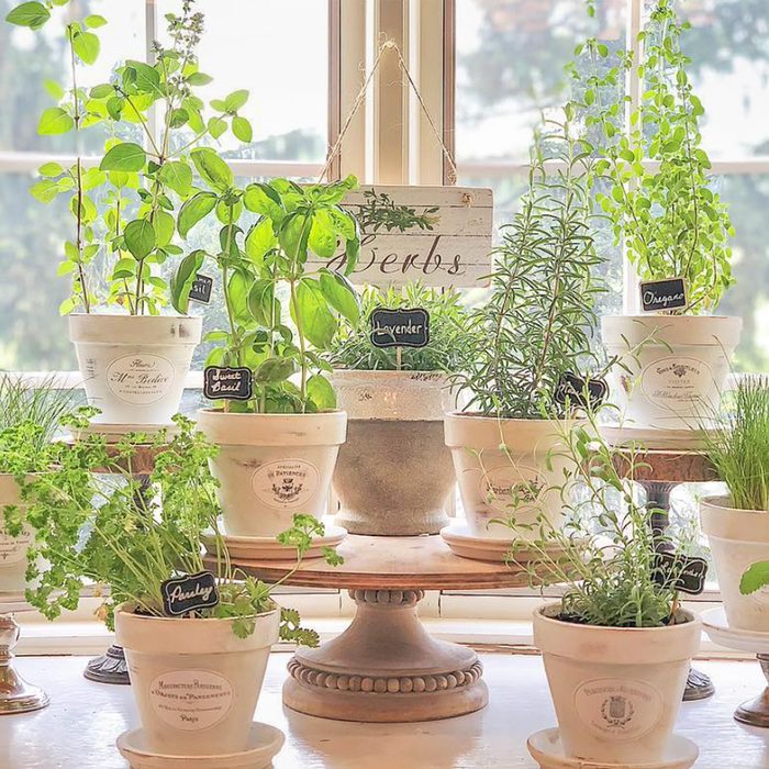 Lots Of Pots Courtesy @vaughnhillhome Via Instagram