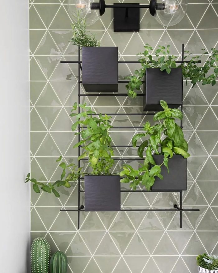 Wall Mounted Planter Courtesy @maginterior.design Via Instagram