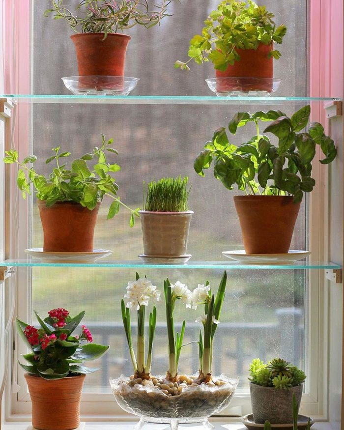 Window Shelves Courtesy @womansworkco Via Instagram