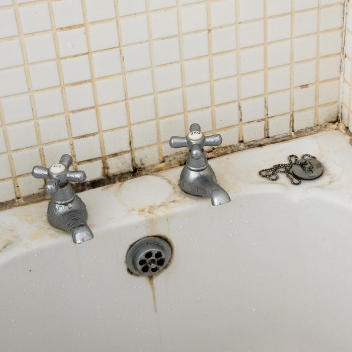 Mold and Dirt and Rust on tiles around faucet and taps of bathtub