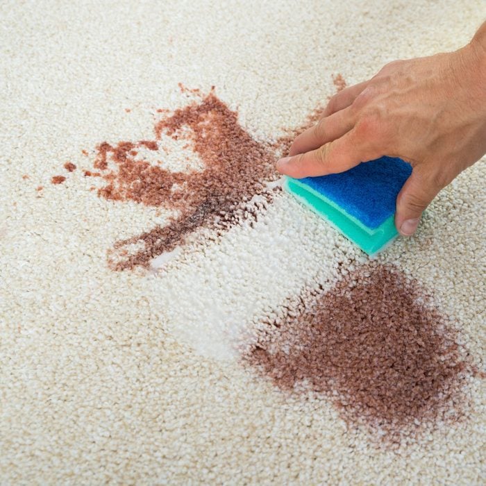 Man Cleaning Stain On Carpet With Sponge