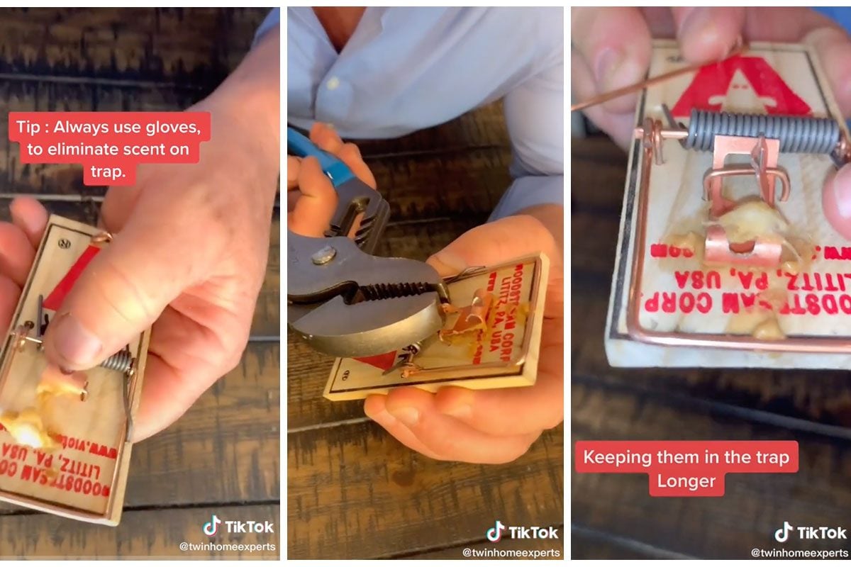 Mice Trap Hacks Via Twinhomeexperts Tiktok