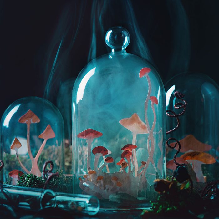 Halloween Growing Paper Mushroom in glass domes full of smoke