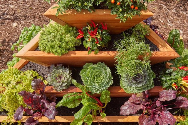 Fh23apr 624 51 056 How To Build A Vertical Garden