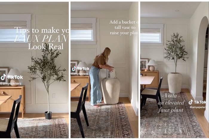 Faux Plant Hack to Make them Look Real Via @AmyEPeters Tiktok