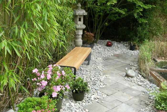 Image of slate slab pathway in ornamental, domestic garden featuring Japanese elements, modern wooden bench, potted azaleas, granite lanterns, bamboo hedging, koi fish pond and Japanese maples (acers)