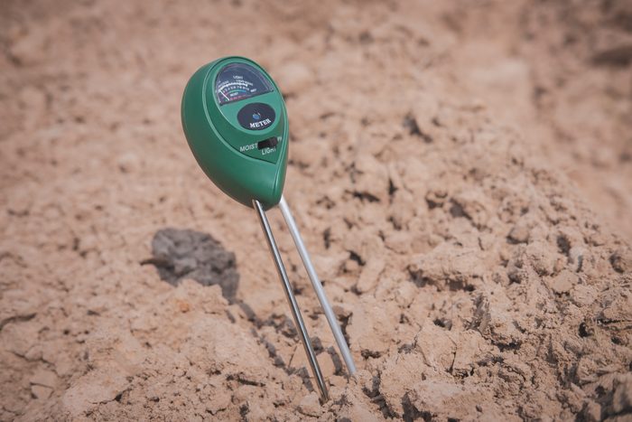 Soil pH meter using for cultivation.