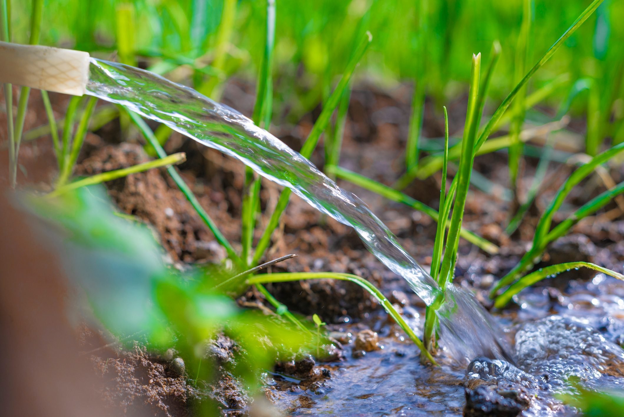 Are greywater systems worth the investment?