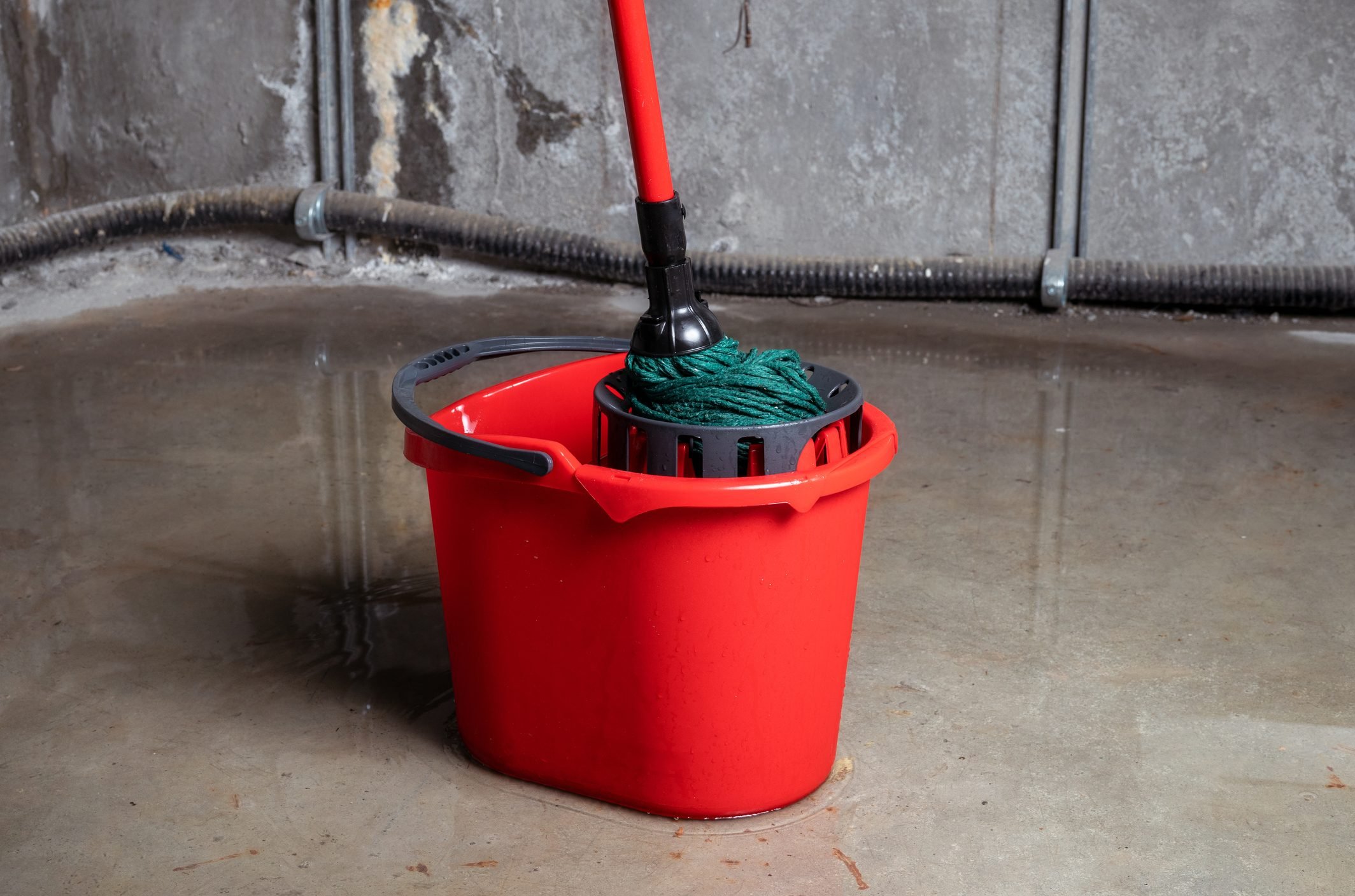 Bucket with mob in flooded basement or electrical room.