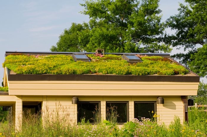 Lebanon Hills Green Roof and Gardens