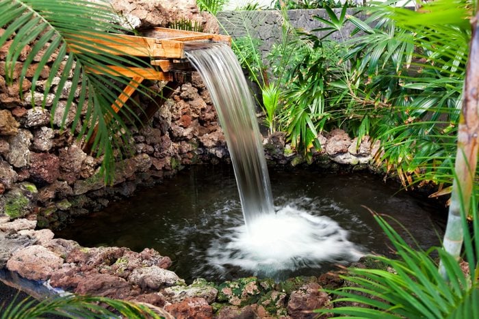 waterfall in a garden