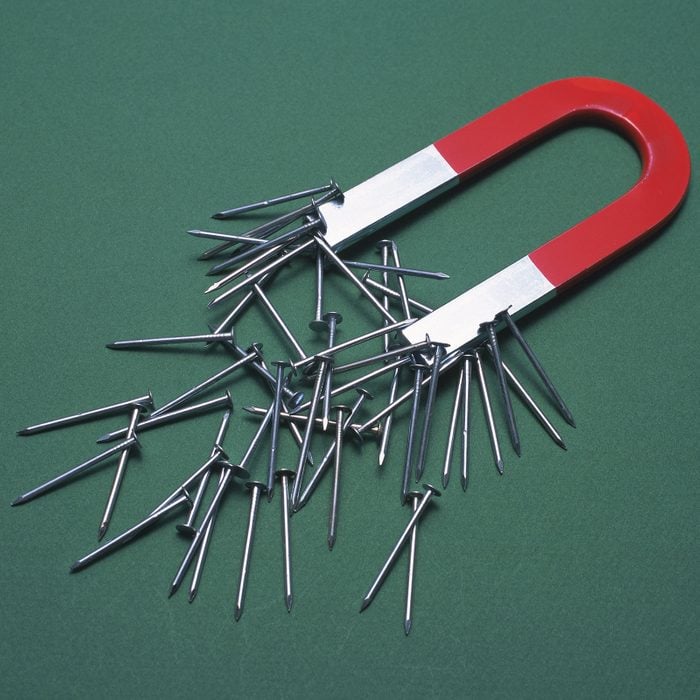 Nails Sticking On Edge Of Horseshoe Magnet