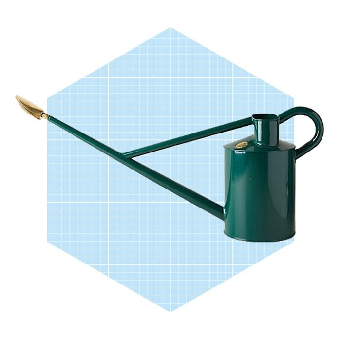 Professional Long Reach Watering Can Ecomm Shopterrain.com