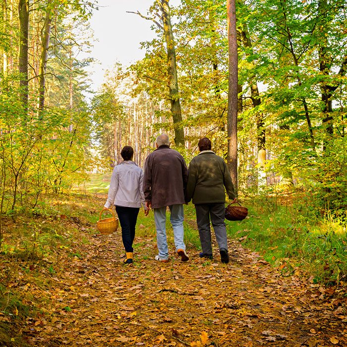 Senior Couple Walking In Forest with a caregiver