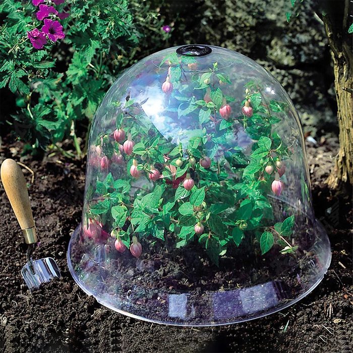 Garden Dome Three-Pack