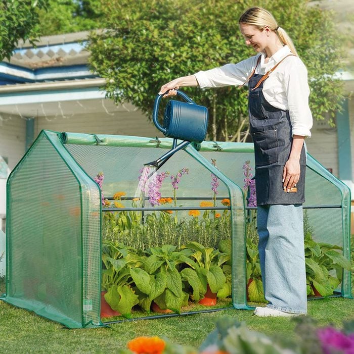 UV-Protected Mini Greenhouse