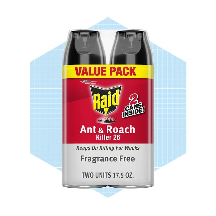 Raid Ant & Roach Killer 26