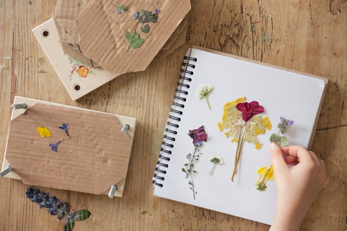 Child (6-7) arranging dried flowers out of a flower press and onto the pages of a notebook