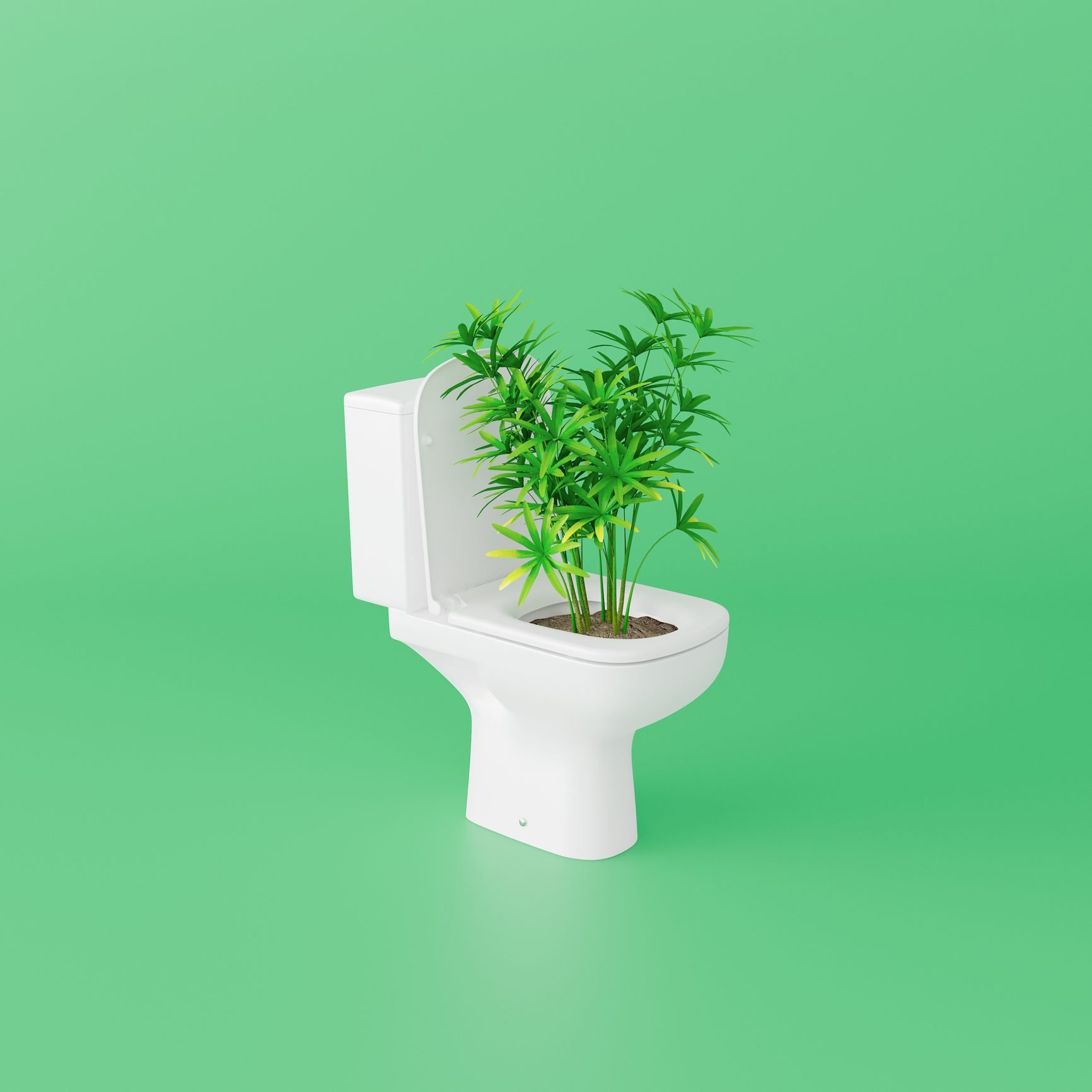 Plant Growing From Toilet On Green Background.