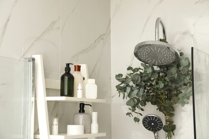 Branches with green eucalyptus leaves in shower