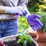 8 Best Gardening Gloves For 2023
