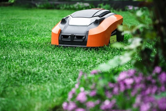Lawn robot mows the lawn around the garden